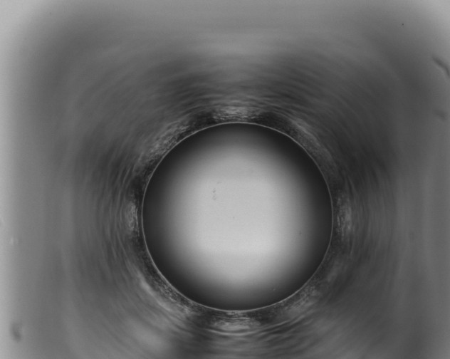 X0000099550459200805231155