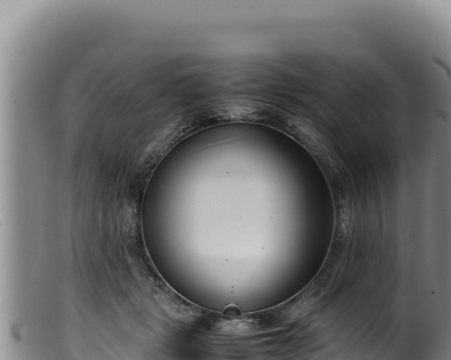 X0000099550461200805231155