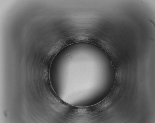 X0000099550462200805231155