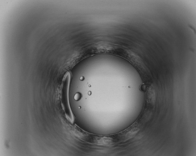 X0000099550463200805231155