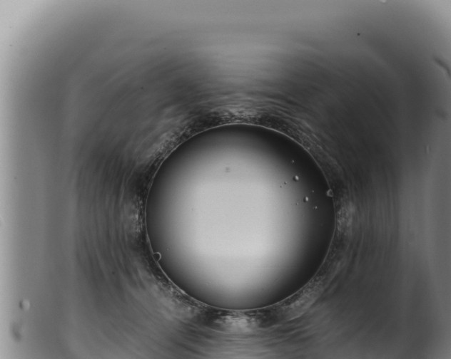 X0000099550464200805231155