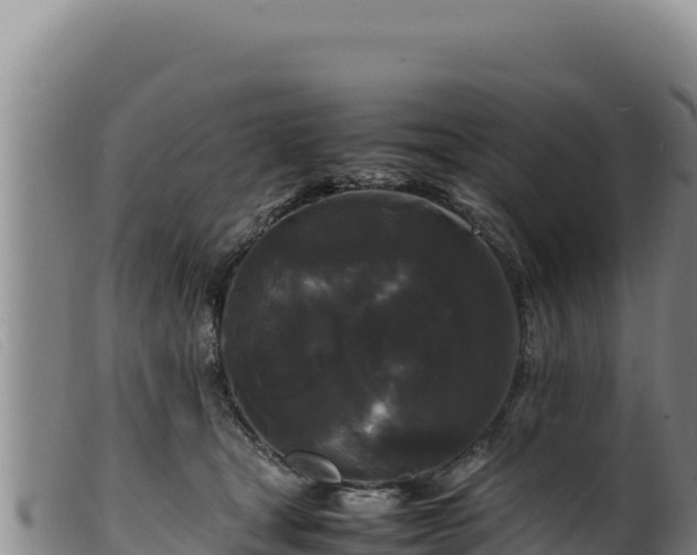 X0000099550465200805231155