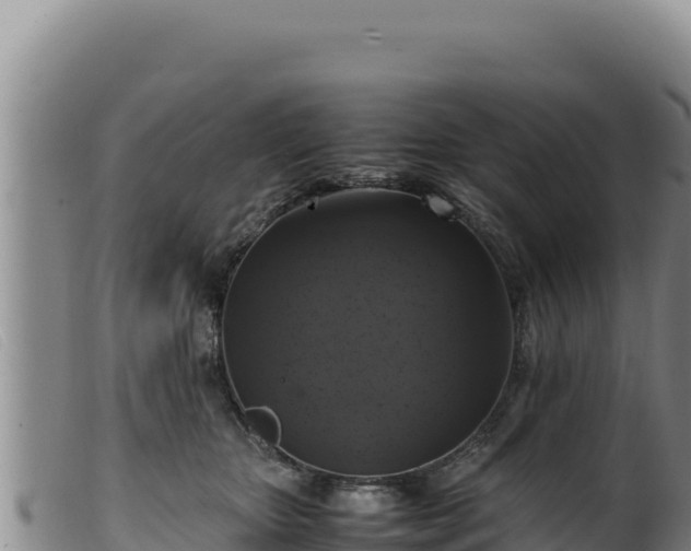 X0000099550467200805231155