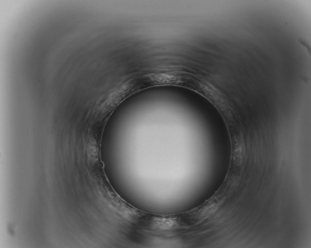 X0000099550469200805231155