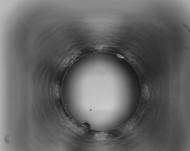 X0000099550470200805231155