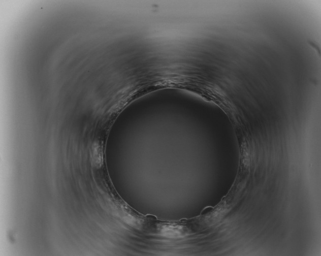 X0000099550471200805231155