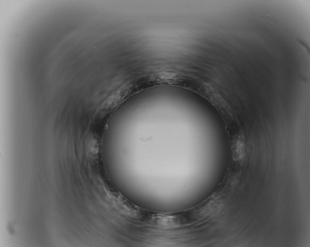 X0000099550472200805231155