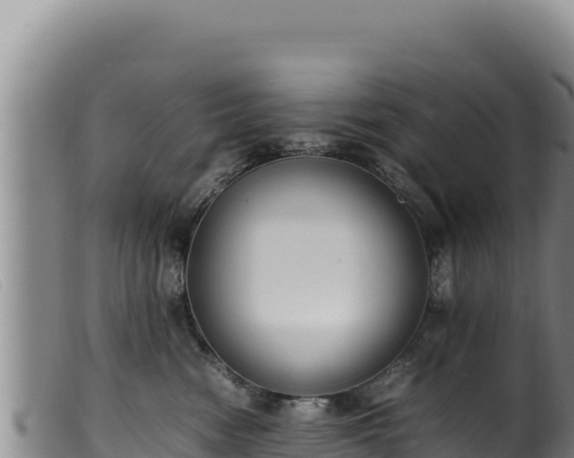 X0000099550474200805231156