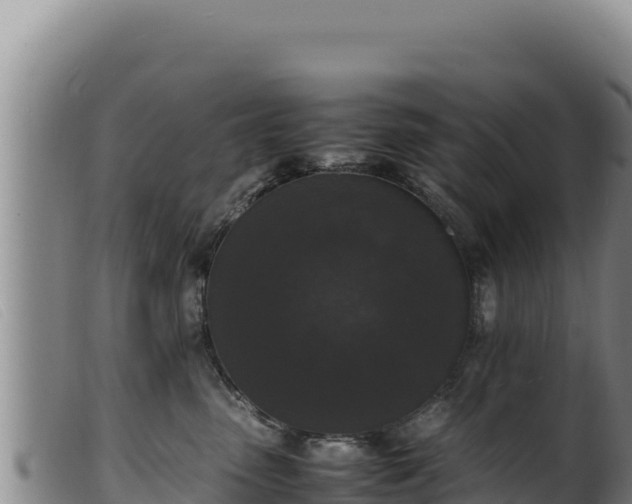 X0000099550475200805231156