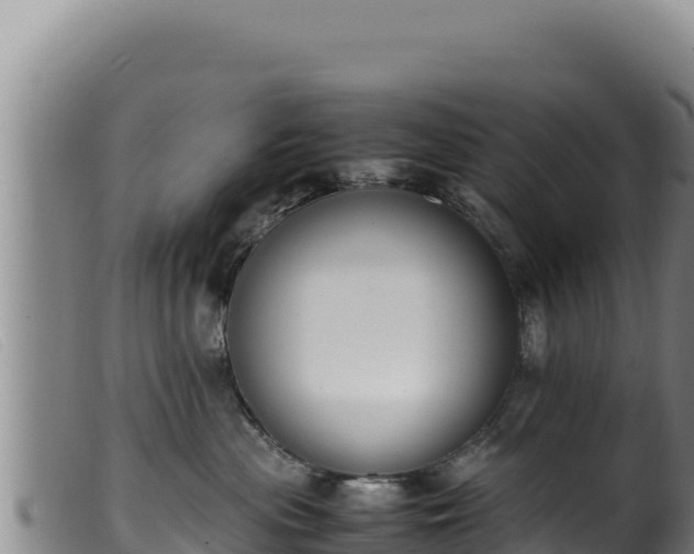 X0000099550477200805231156