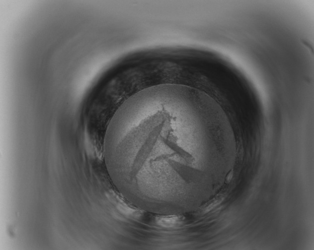 X0000099550479200805231156