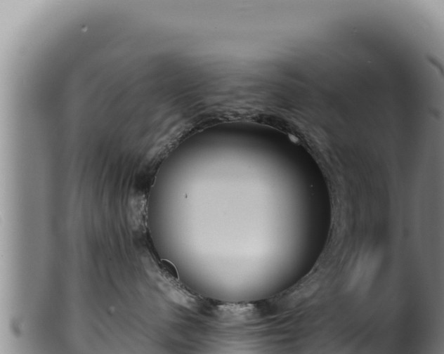 X0000099550480200805231156