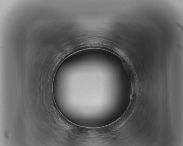 X0000099550481200805231155