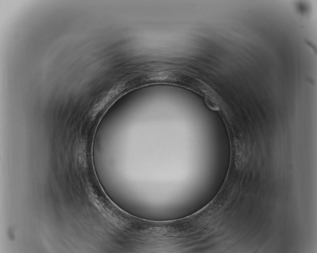 X0000099550482200805231155