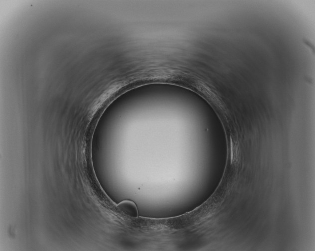 X0000099550483200805231155