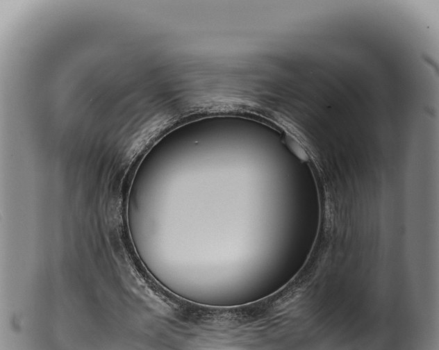 X0000099550485200805231155