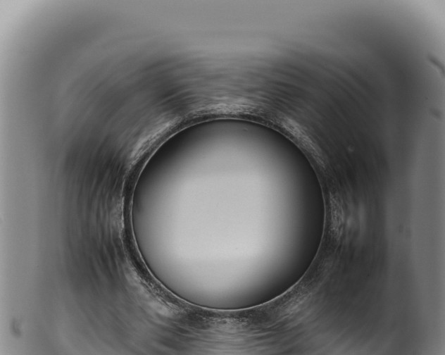 X0000099550486200805231155