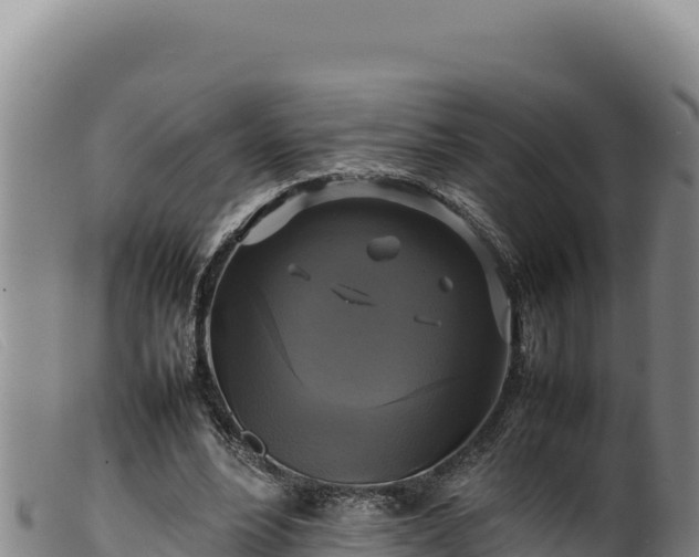 X0000099550488200805231155