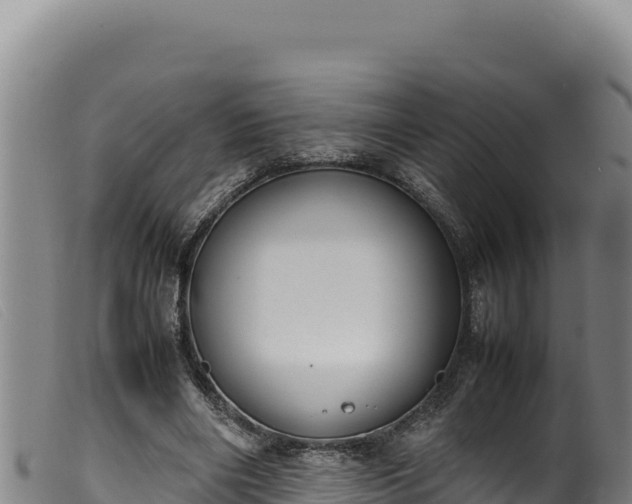 X0000099550490200805231155