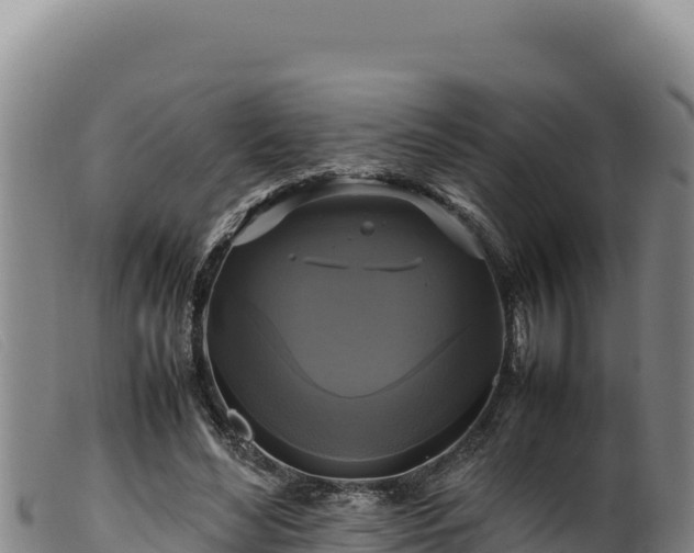 X0000099550492200805231155