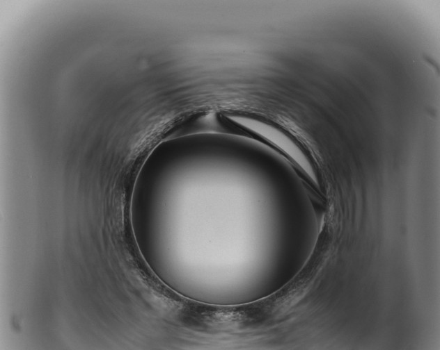 X0000099550493200805231155