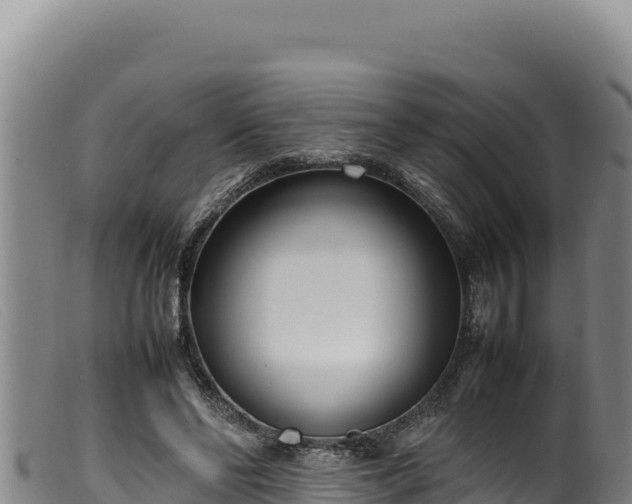 X0000099550494200805231155