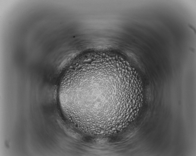 X0000099550495200805231155