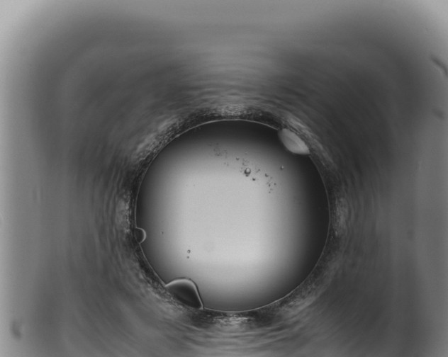 X0000099550497200805231155