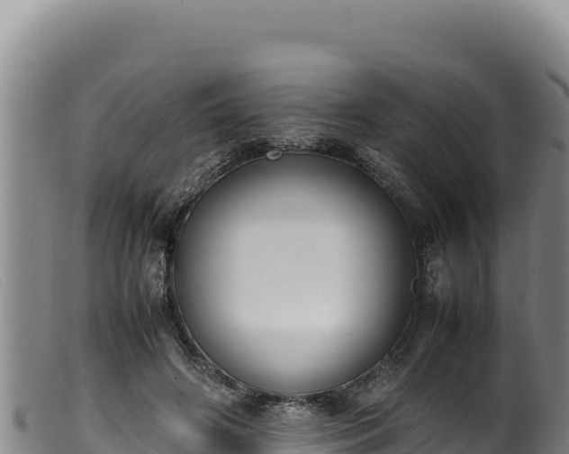 X0000099550498200805231155