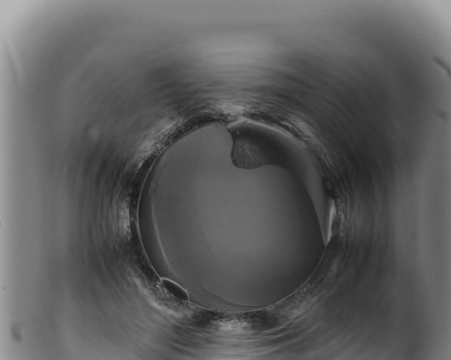 X0000099550500200805231154