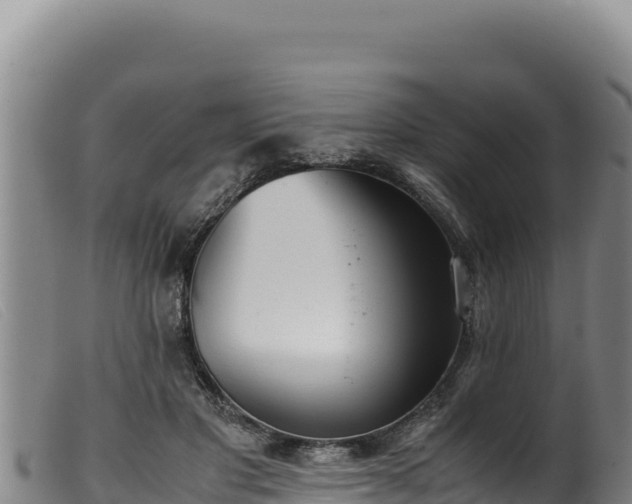 X0000099550501200805231154