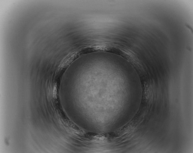 X0000099550502200805231154