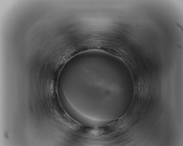 X0000099550504200805231154