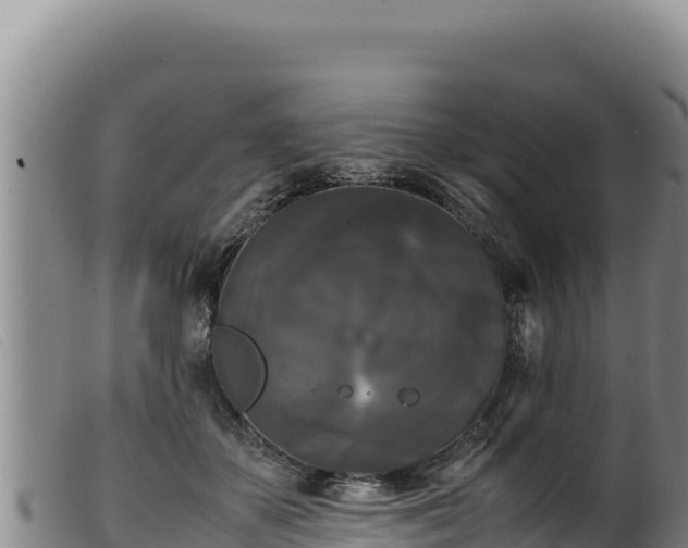 X0000099550507200805231154