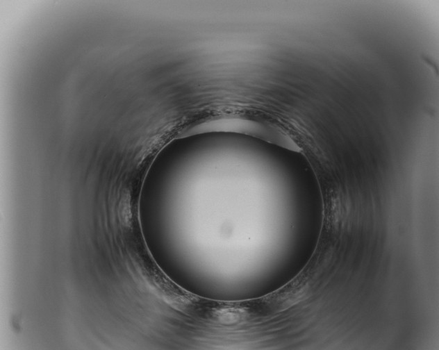 X0000099550508200805231154