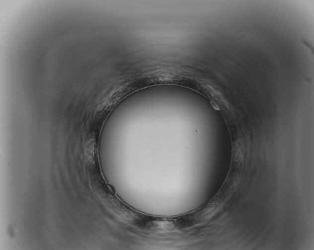 X0000099550509200805231154