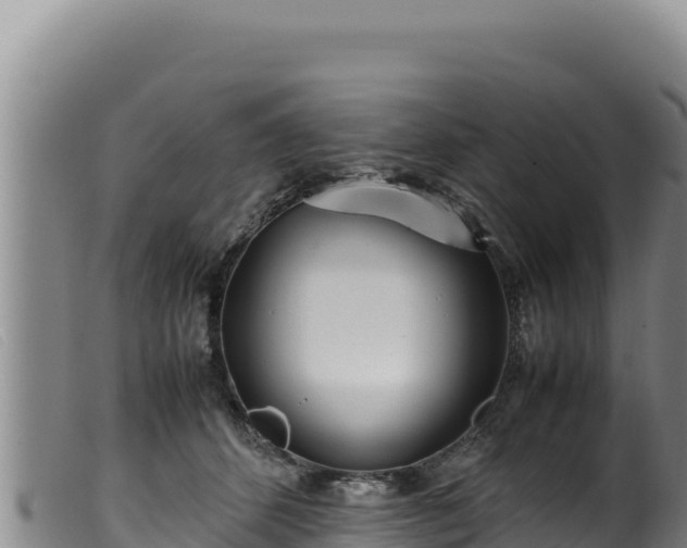 X0000099550512200805231154