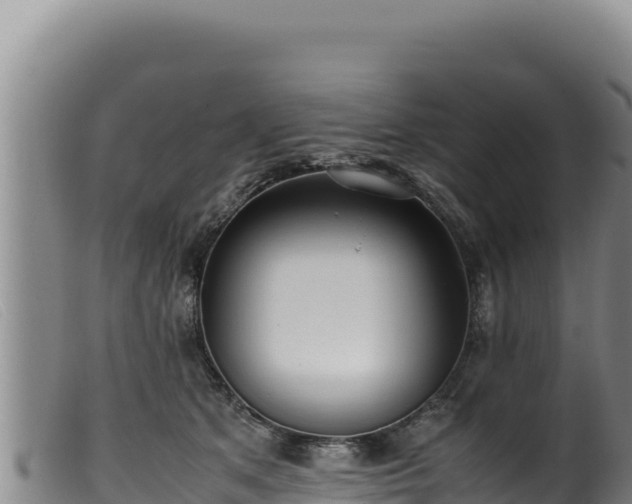 X0000099550513200805231154