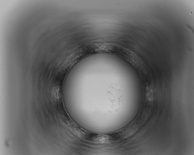 X0000099550514200805231154