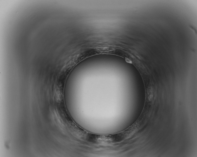 X0000099550515200805231154