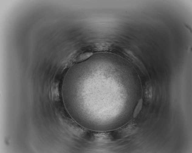 X0000099550516200805231154