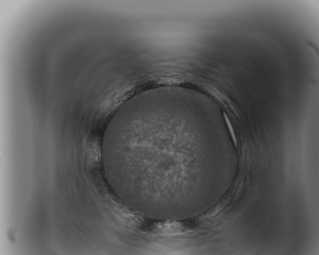 X0000099550517200805231154