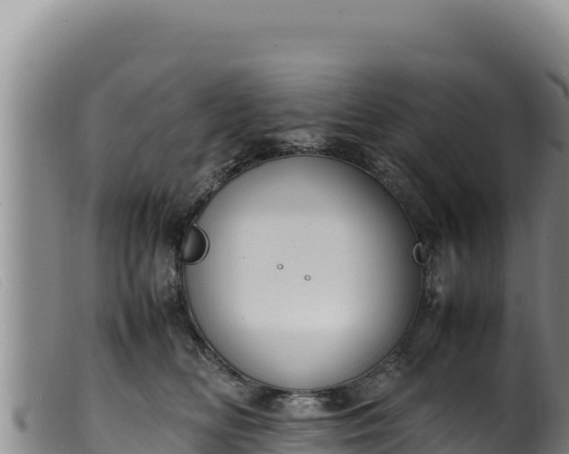 X0000099550518200805231154