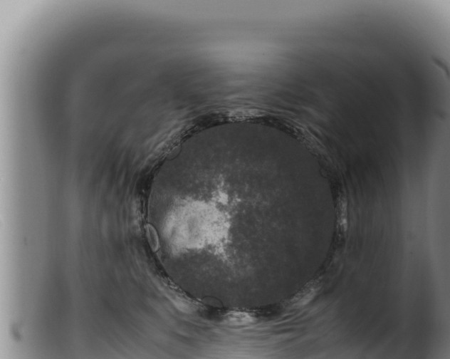 X0000099550519200805231154