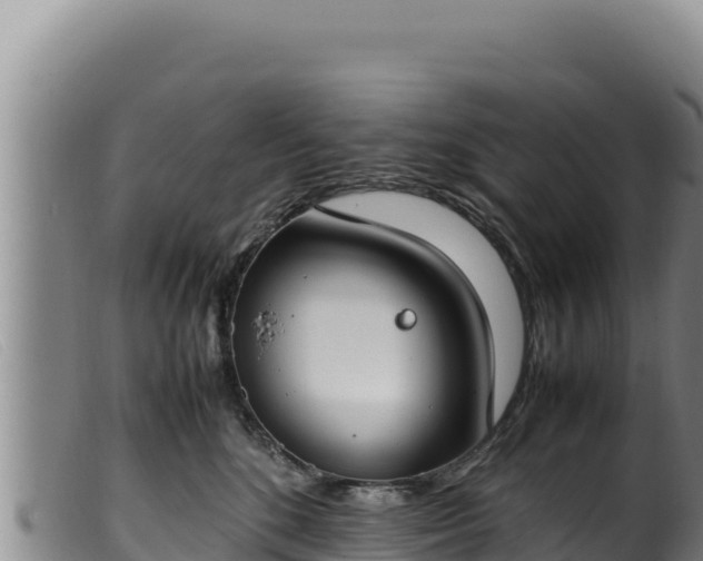 X0000099550520200805231154