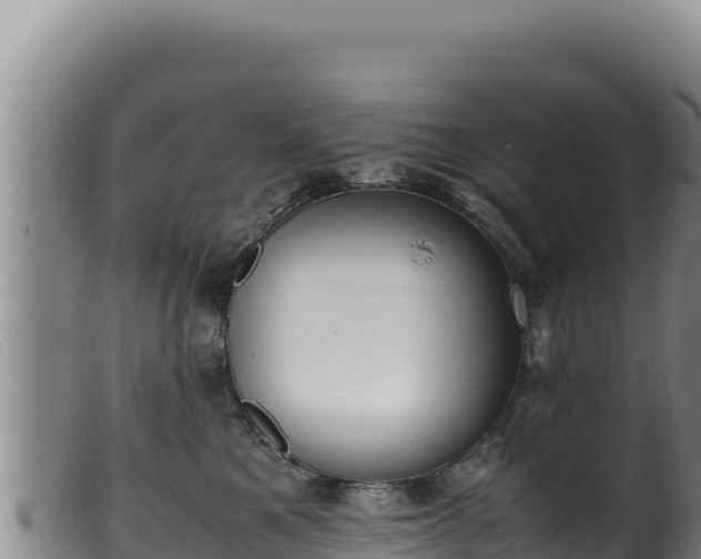 X0000099550521200805231154