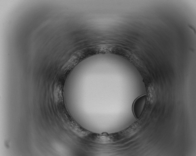 X0000099550522200805231154