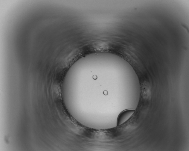 X0000099550523200805231154