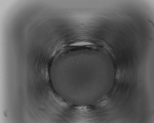 X0000099550524200805231154