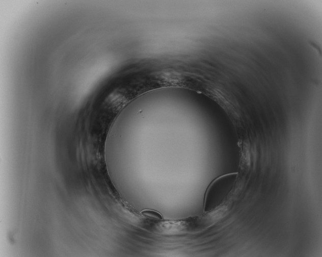 X0000099550526200805231154